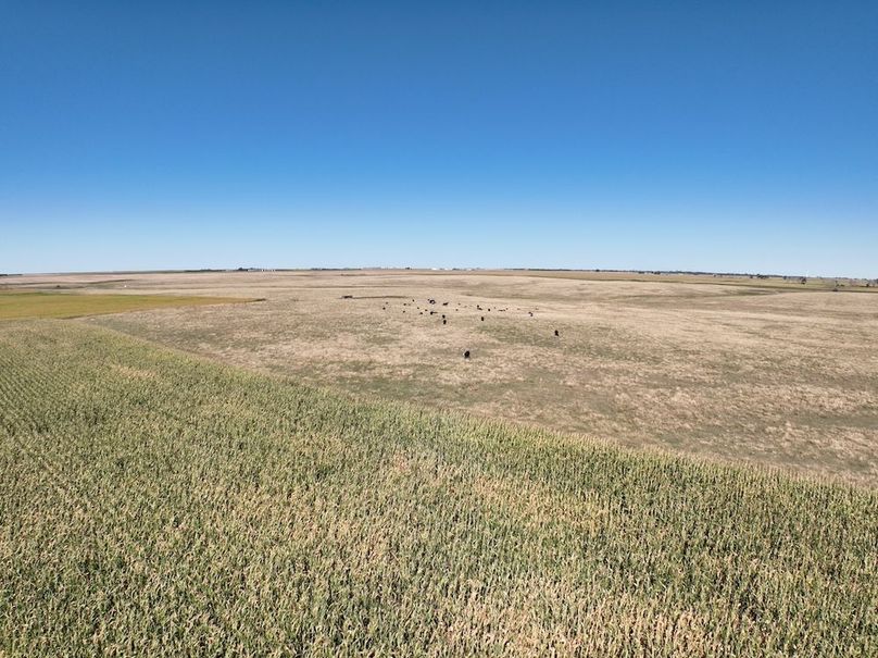 Copy of Tract 1 DJI_0608