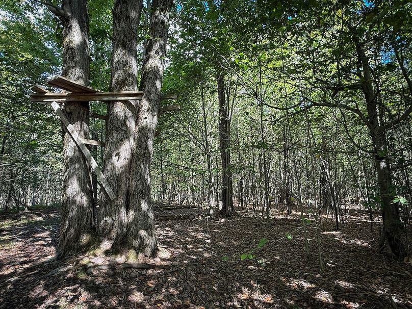 Oswego NY 18.18 Martin Photos 37