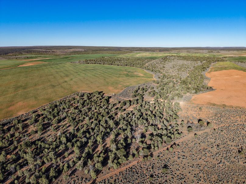 DJI_20260423081009_0235_D