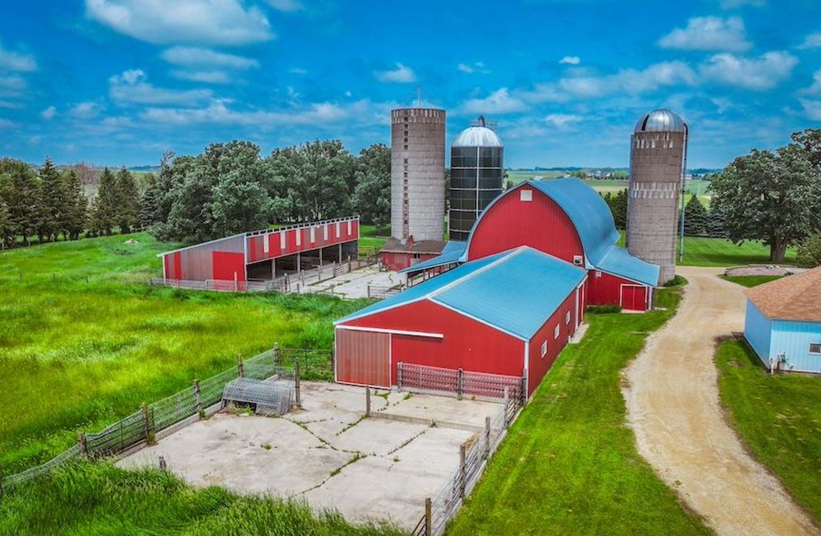 Freeborn 7.07 - NEw-004