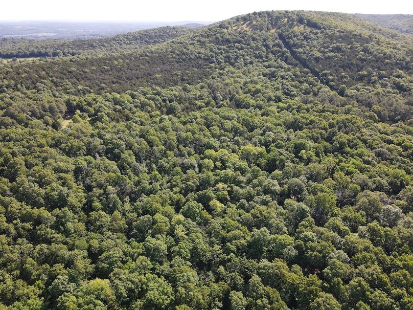 dji_fly_20260514_092900_782_1778769075972_photo