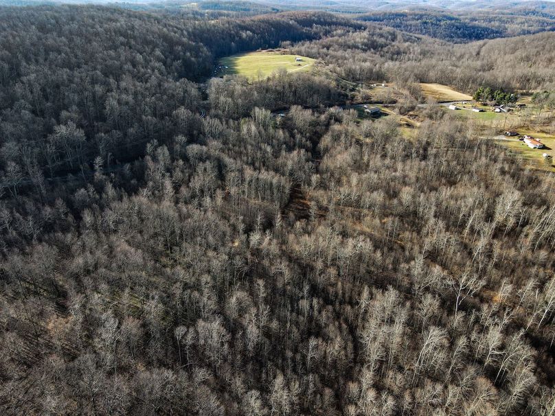 dji_fly_20240304_090700_817_1709561230773_photo 2