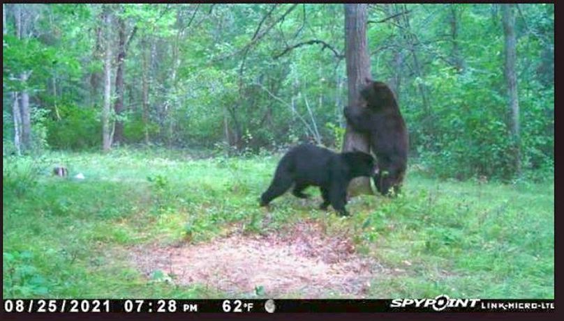 Screenshot 2021-12-15 at 10.12.29 AM