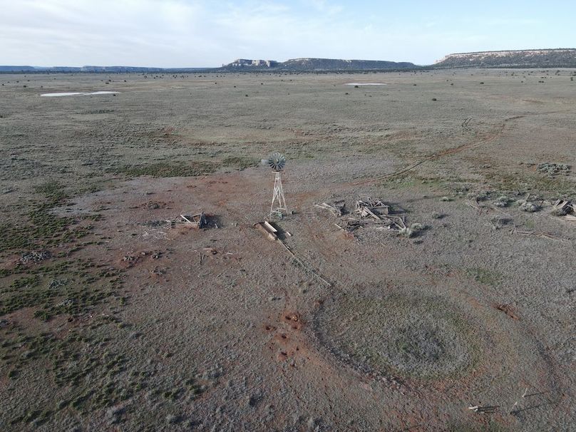 dji_fly_20240504_074946_335_1714830615103_photo