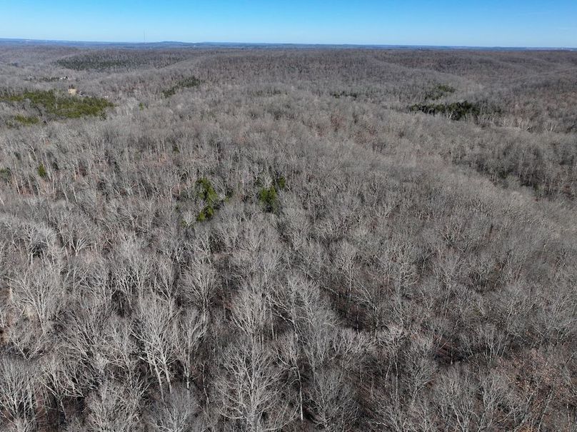 DJI_20251219113931_0890_D