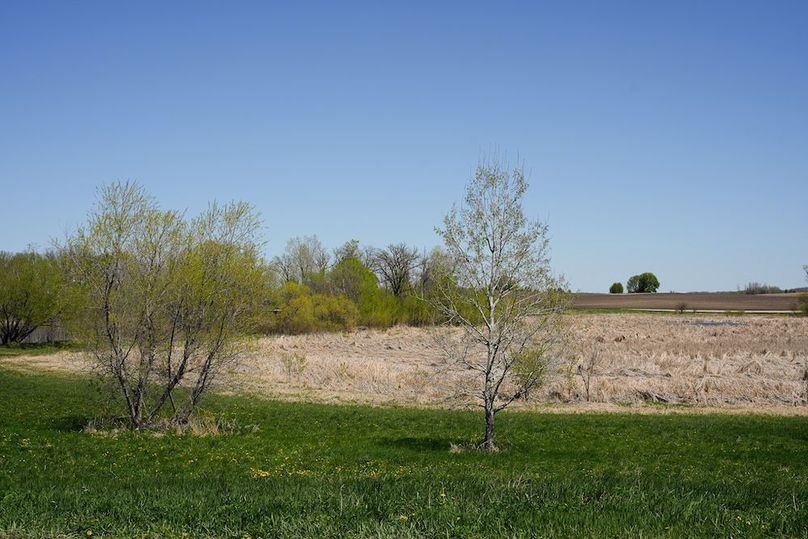DSC00029