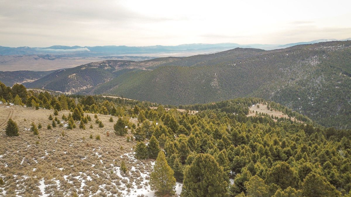 Three Patented Mining Claims With Panoramic Views Near Marysville