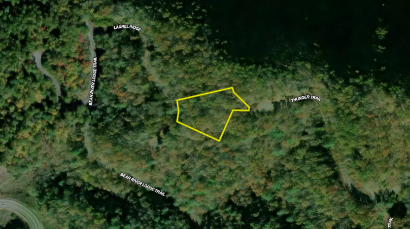 Madison Co 1.31 Pallardy2