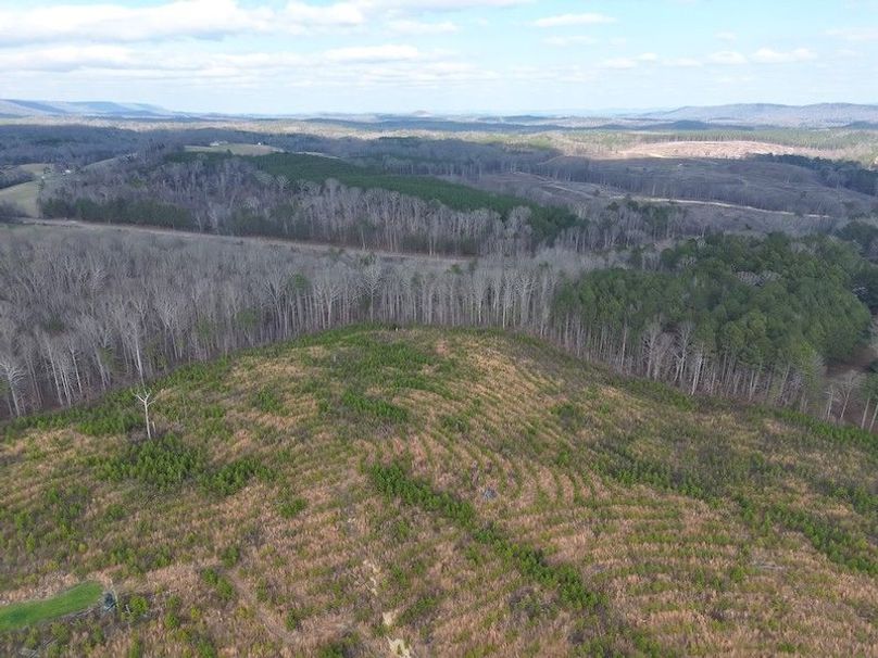 DJI_20260303144643_0012_V