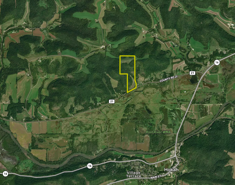 Screen Shot 2023-05-19 at 2.18.53 PM