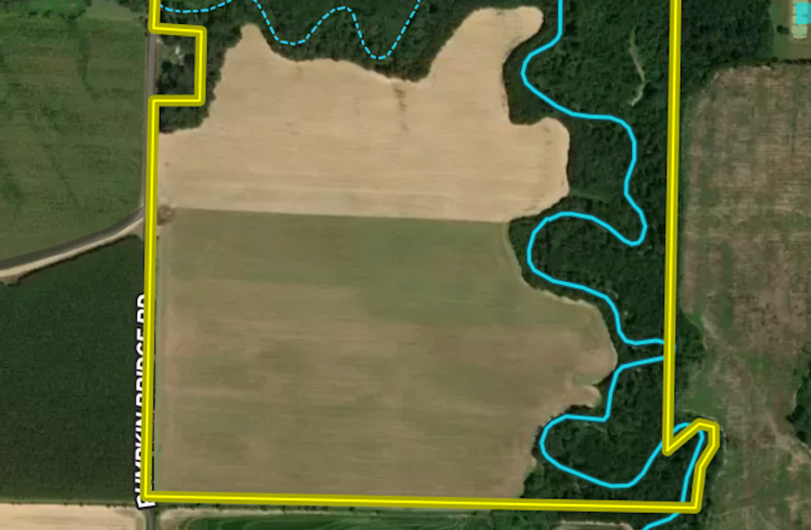 Screenshot 2025-03-23 at 12.29.46 PM