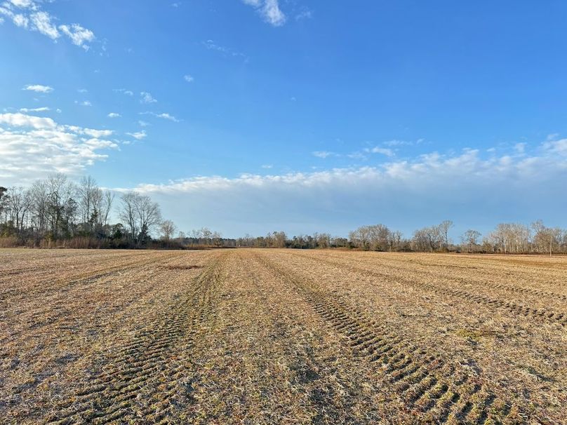 A5582203-98AD-4B47-BDF2-74075AEAE6A9