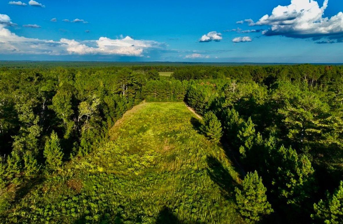 15C407E5-483B-472F-A5A8-2FB162ECEAA3_1_105_c-2