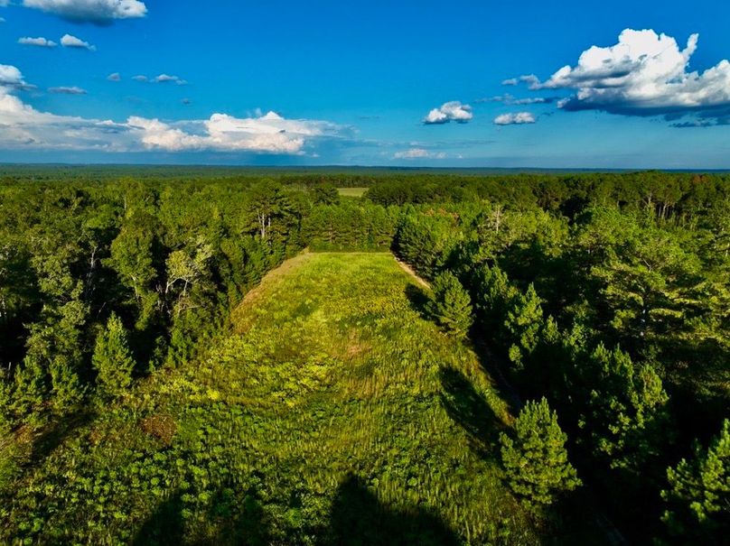 15C407E5-483B-472F-A5A8-2FB162ECEAA3_1_105_c-2