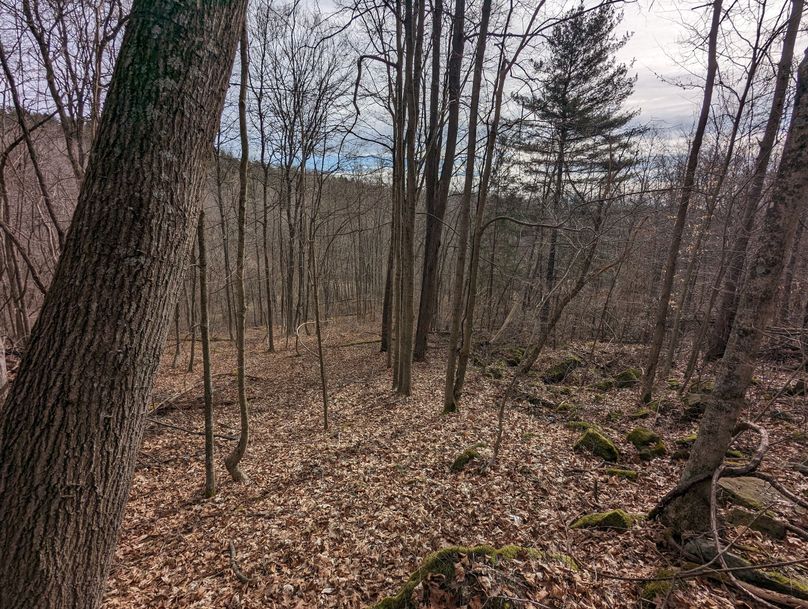 PXL_20230213_165013335