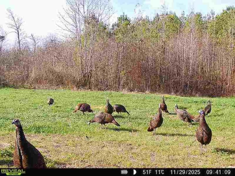 860516069328684-90-4-11292025094110-W1020556