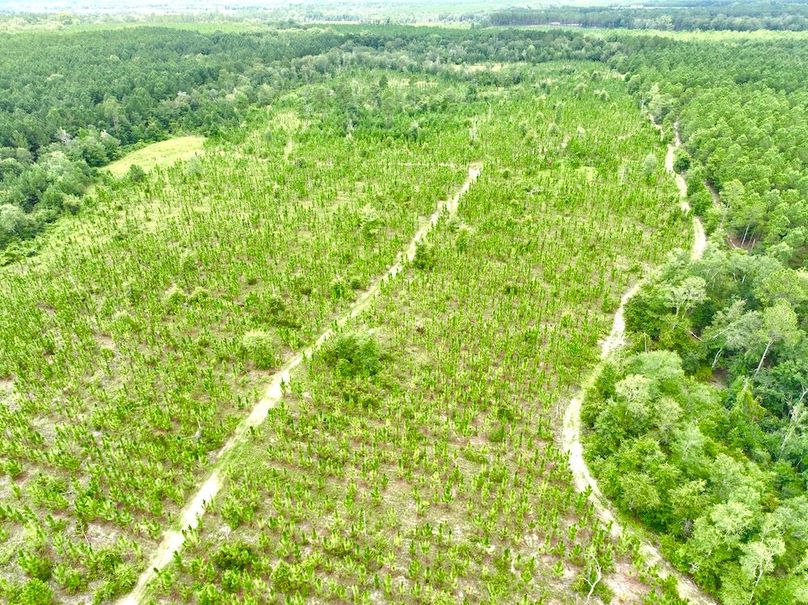 dji_fly_20240710_135124_541_1720634625319_photo