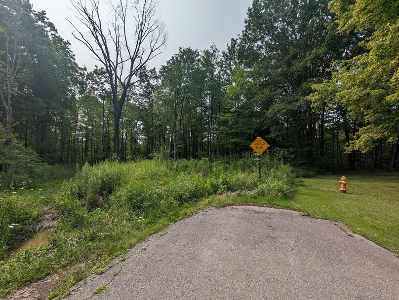 PXL_20230801_143353497