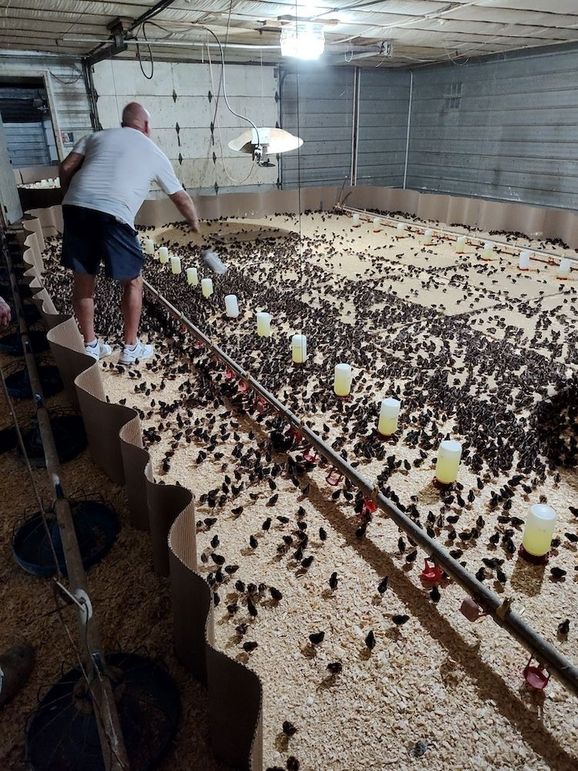 IMG_20250708_193502501