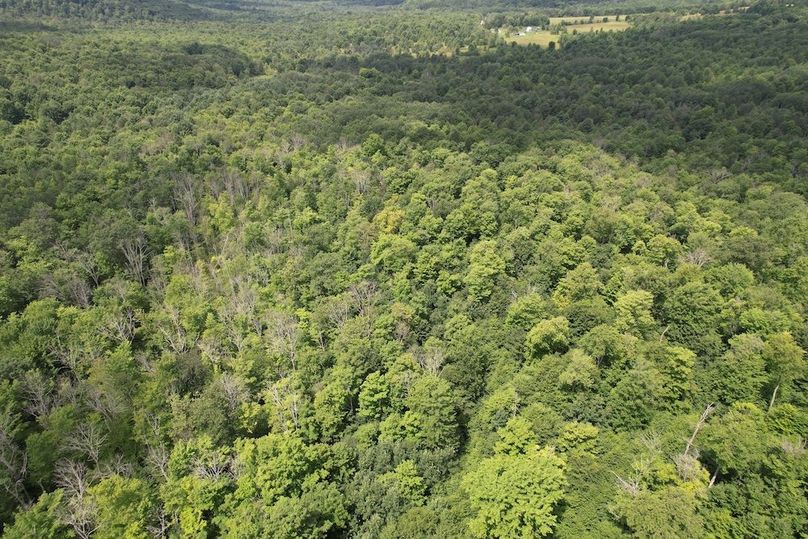 Chemung_78.26+Gutchess_Lumber_Photos_9