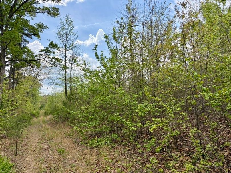 E7D098EE-0CFF-4963-8963-835860AF57A9_1_105_c-2