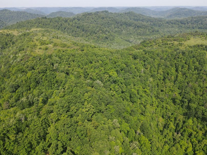 020 aerial view looking SW over the property