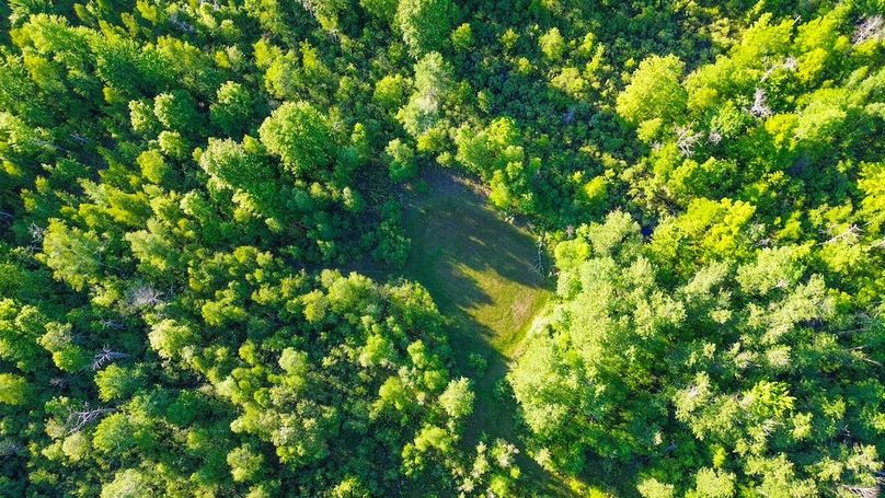 DJI_0153