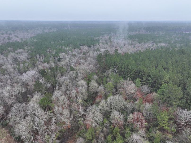 dji_fly_20260122_090950_0839_1769444819622_photo