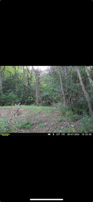 Screenshot 2026-01-09 at 12.40.57 PM