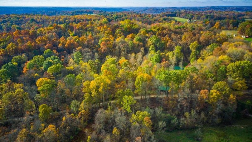 05-zj 31961 Township Rd 381004