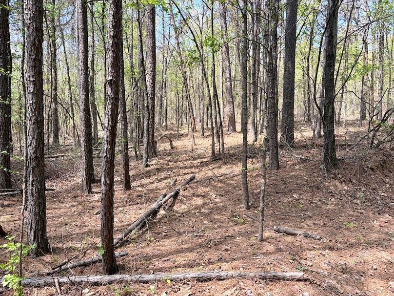 12FB3FE2-A0E0-4868-A0A2-BCCA8DCB7BFD_1_201_a