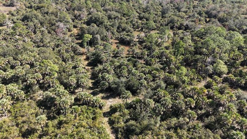 DJI_20251121122032_0018_D