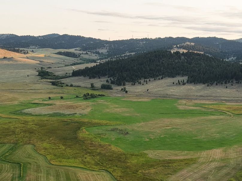 20250822071804_0390_D