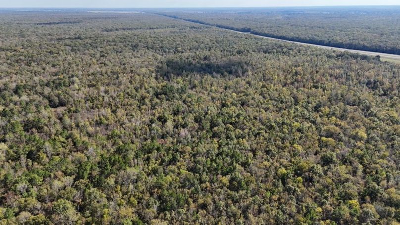 dji_fly_20251106_035450_0094_1762382149588_photo