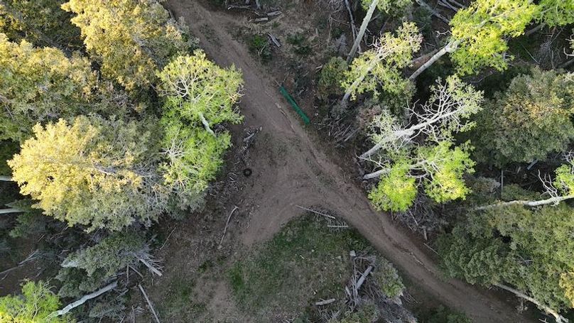 DJI_20250614064108_0137_D