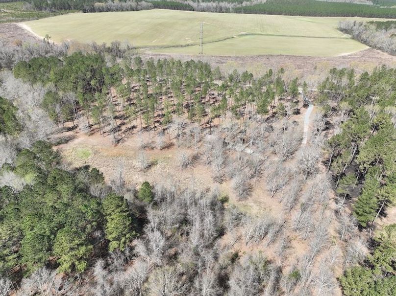 dji_fly_20240307_121138_154_1709831740280_photo