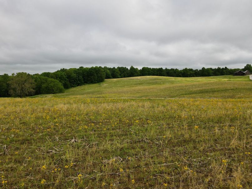 dji_fly_20230514_101612_383_1684077383773_photo