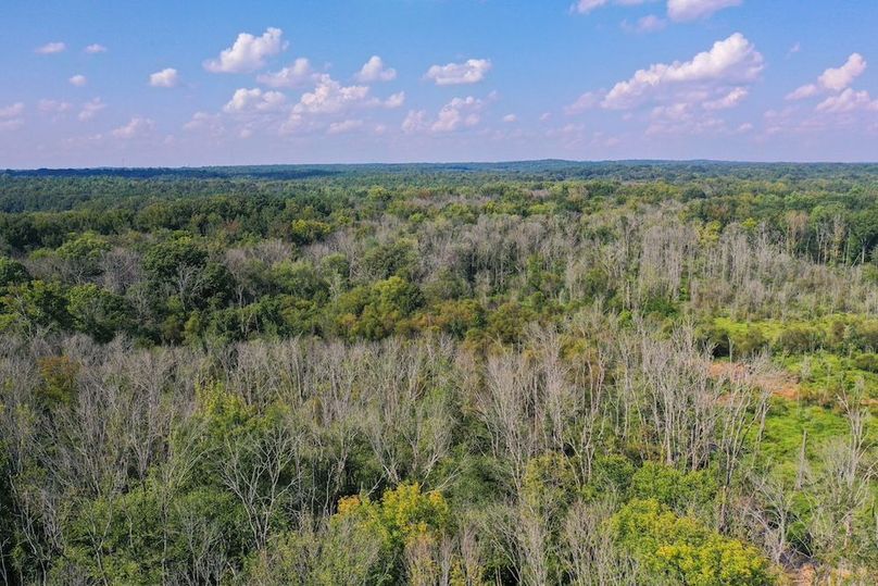 21-web-or-mls-DJI_0900