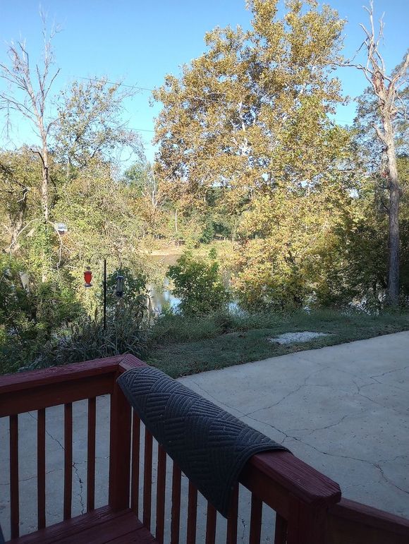 IMG_20231009_094742347_HDR