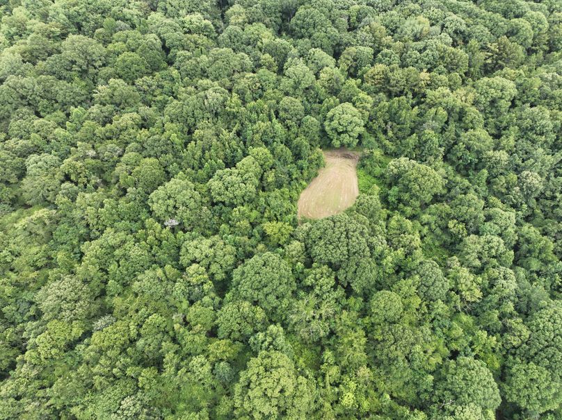 dji_fly_20230727_170246_394_1690507708846_photo 3