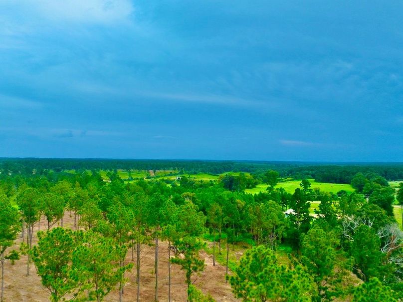 FB3F18DA-9FDF-47FC-845B-E4AD17D1CDEC_1_105_c