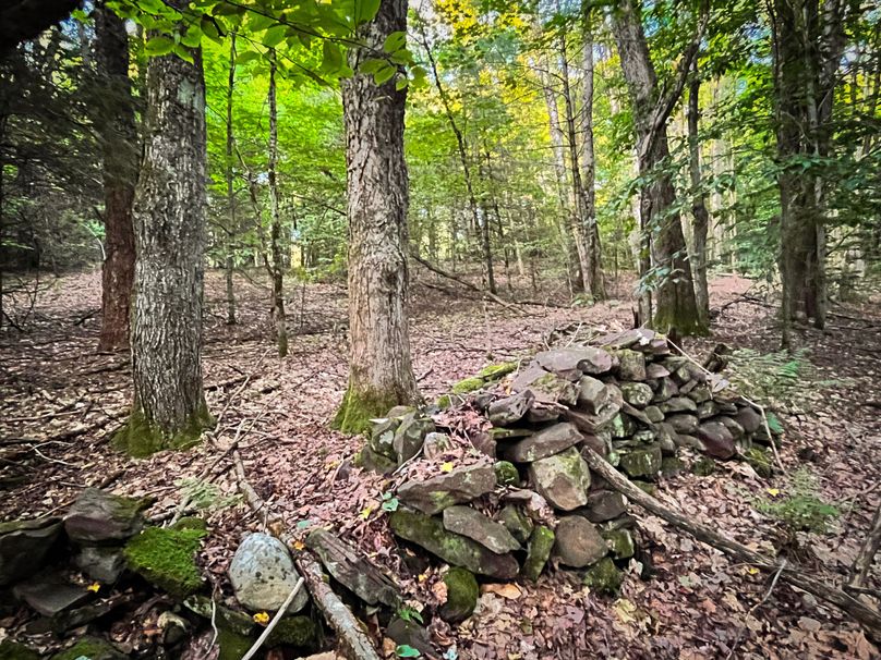 Oswego_30_RouselandInvestments_LLC_Photos_36