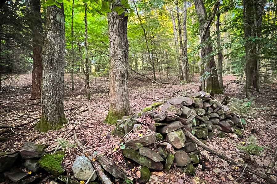 Oswego_30_RouselandInvestments_LLC_Photos_36