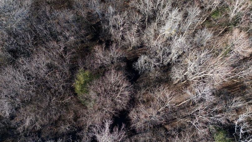 DJI_20251209145130_0016_D