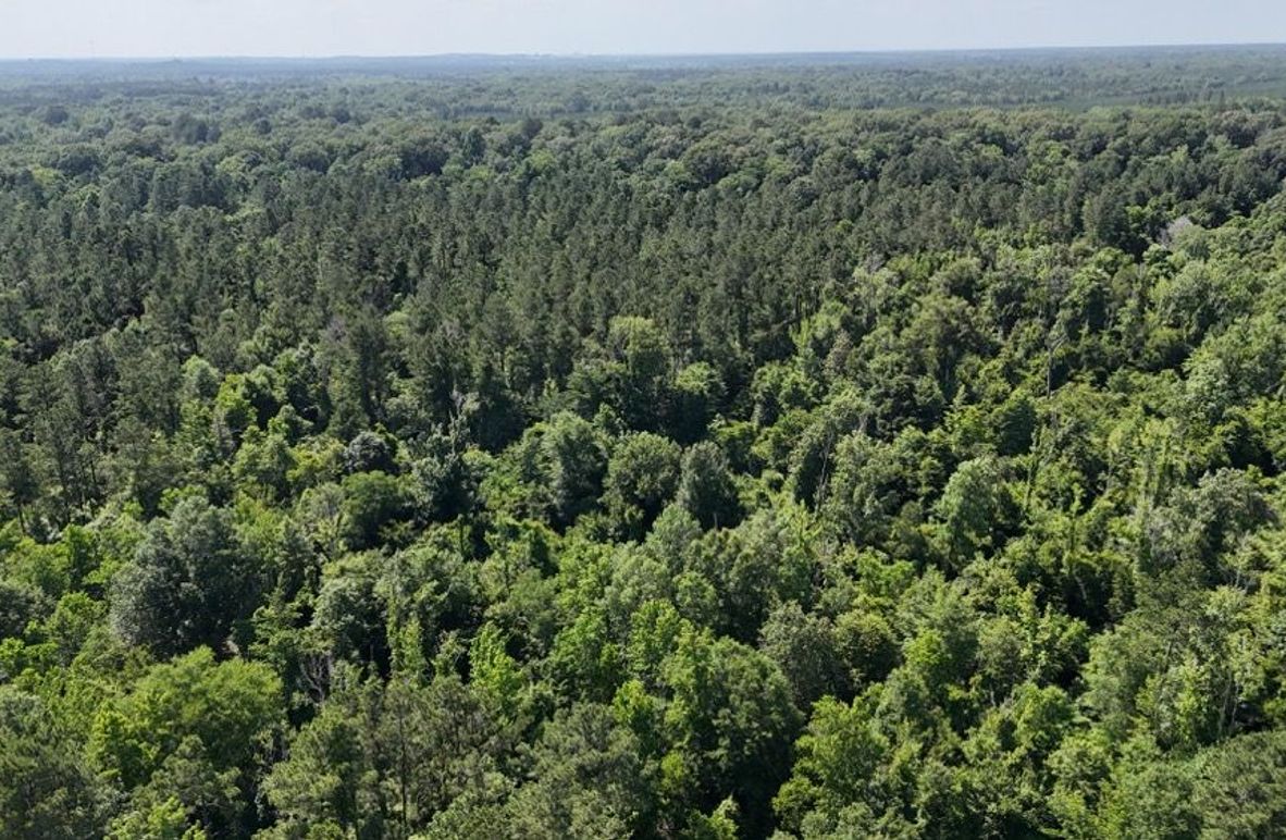 dji_fly_20250526_043830_0004_1748267929910_photo