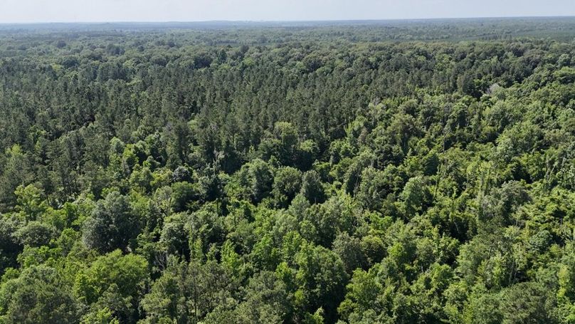 dji_fly_20250526_043830_0004_1748267929910_photo