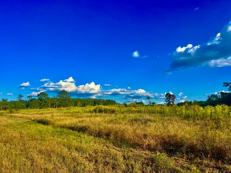 C447A3C1-8E5D-4A87-ADE0-82D27D80A4F7_1_201_a