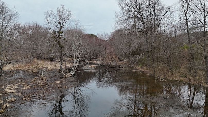 dji_fly_20260218_164728_0040_1771452053321_photo