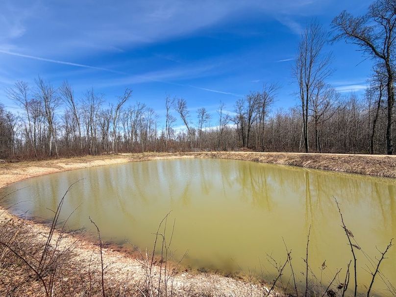 ClarK 160 WILLIAMS -55