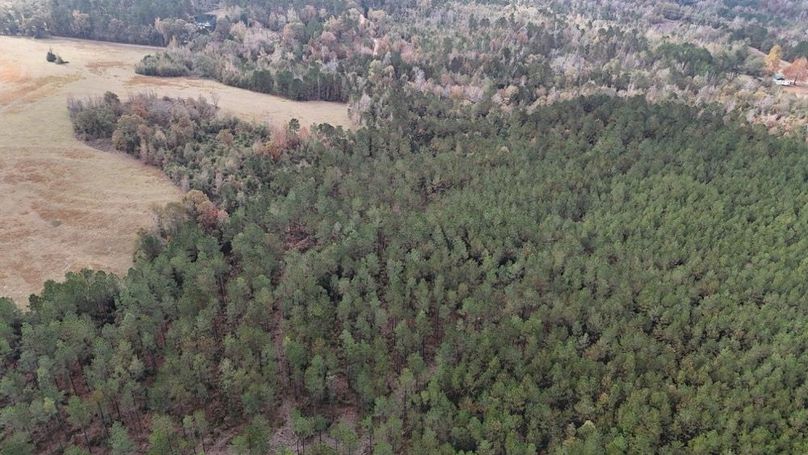 DJI_20251120002408_0923_D